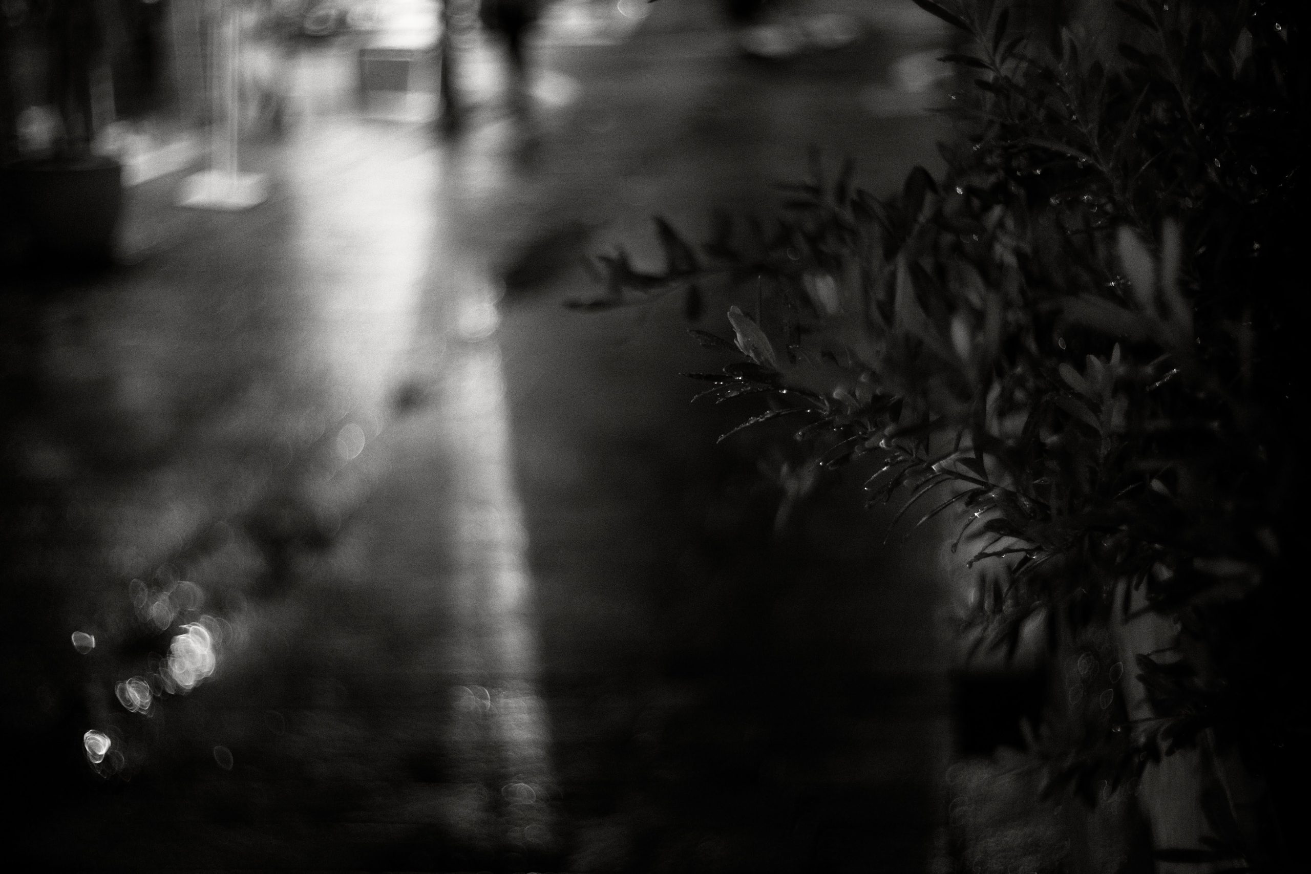 雨の夜はキラキラ