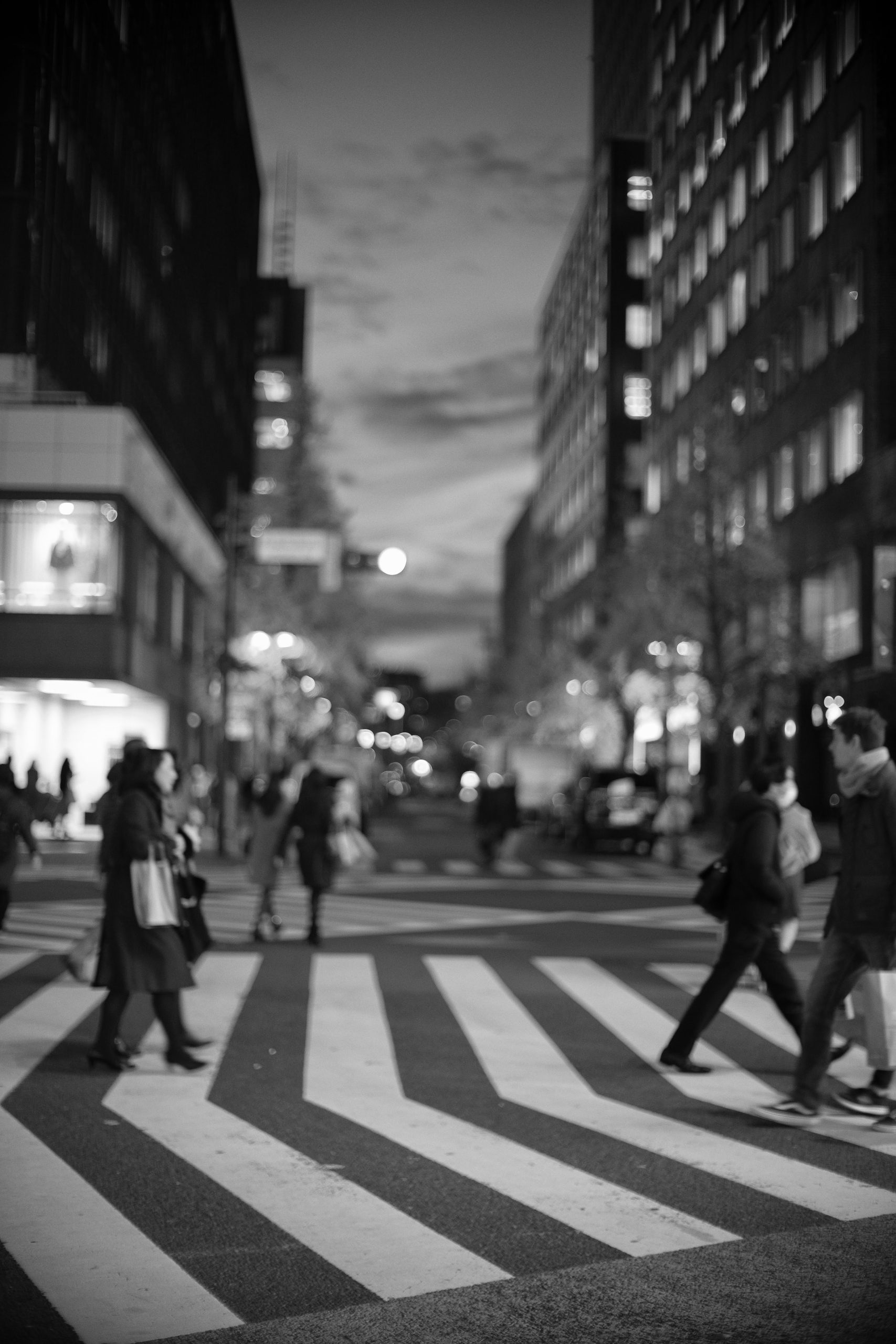 Tokyo twilight