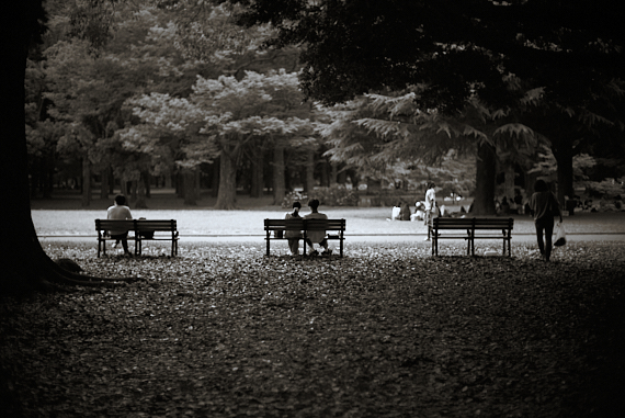 代々木公園のベンチ