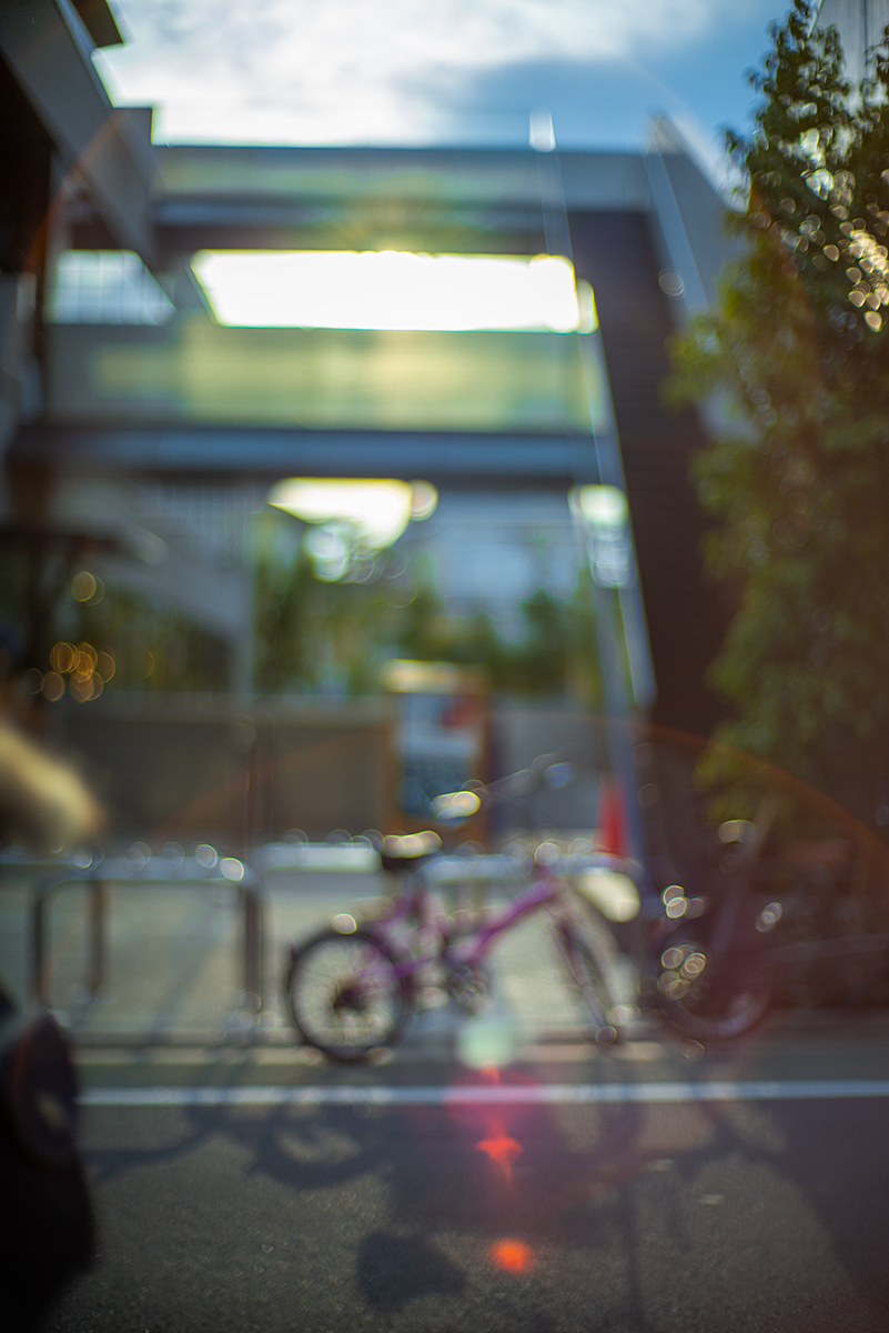 夕日と自転車