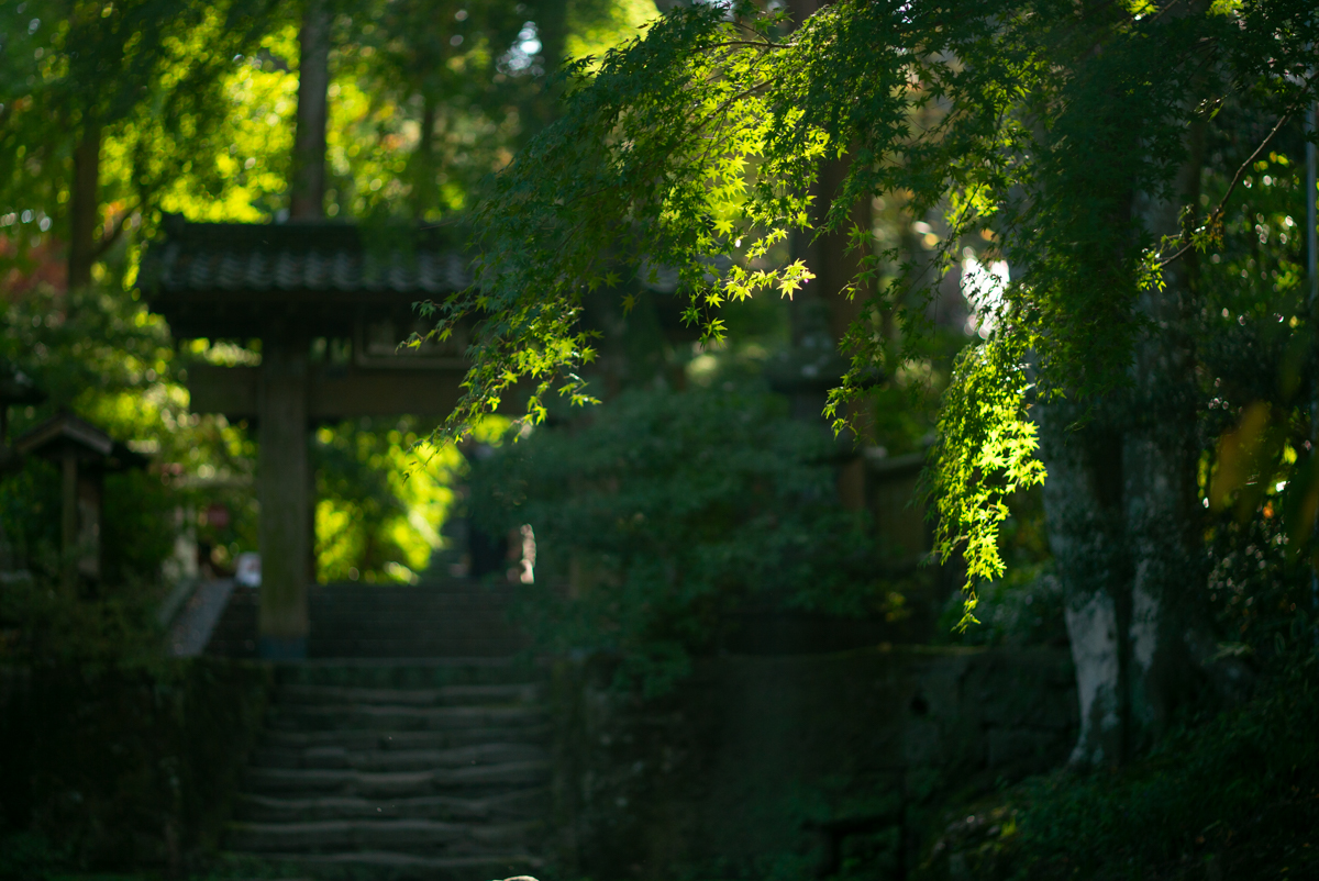 北鎌倉・浄智寺