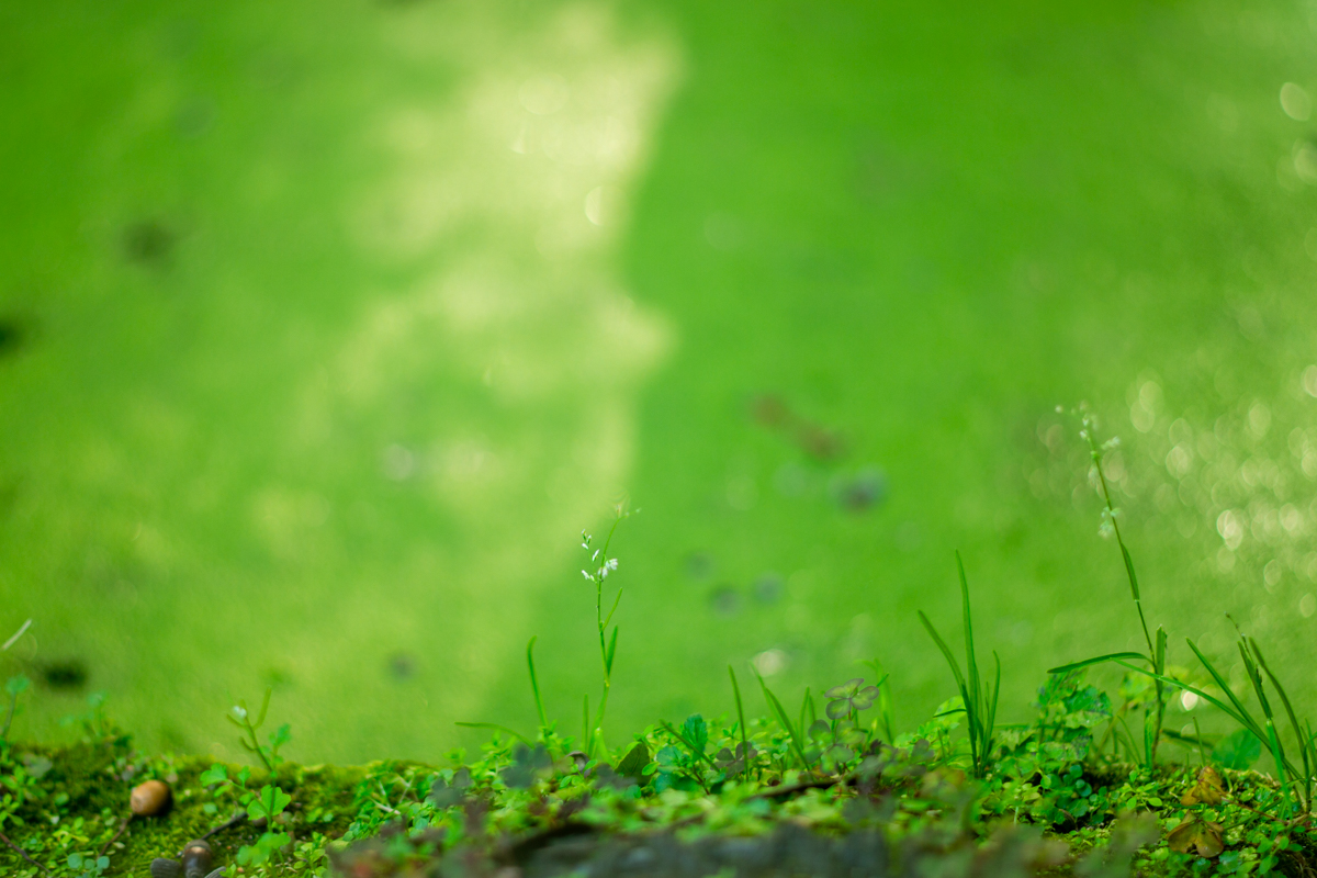 北鎌倉・浄智寺