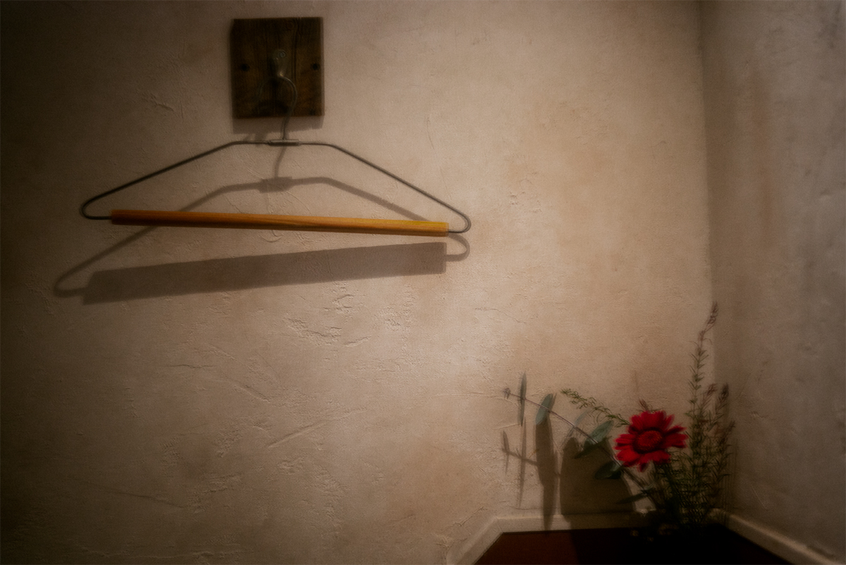 FEBRUARY CAFEで撮影したハンガーと赤い花 Summar 50mm