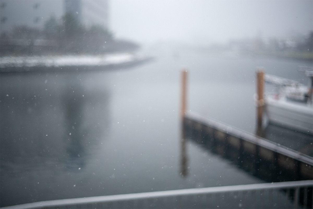 海辺の雪