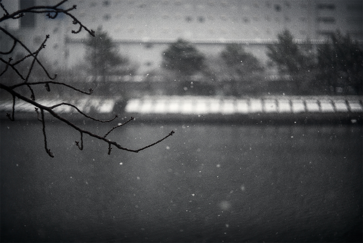 雪の日の、こちら側とあちら側